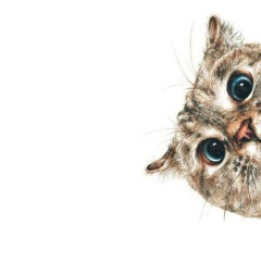 Юлия Юлина, 16.10, Barcelona