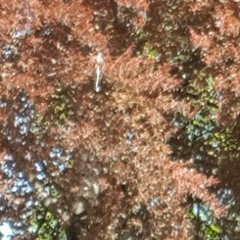 Марсель Файзуллин, Казань