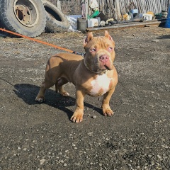 Андрей Мохов, 05.02, Лесной