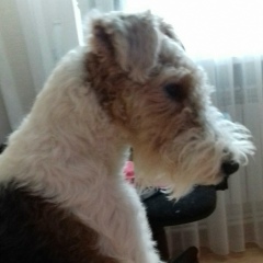 Ирина Прохорова