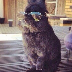 Anton Vladimirovich, 06.03, Москва