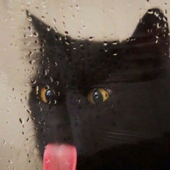 Алексей Миронов, 30.12.1987, Киев