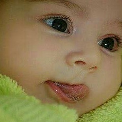 Наргиза Абдуллаева