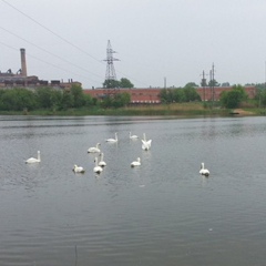 Наталія Вавіліна