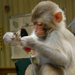 Максим Свита, 15.04.1984, Киев