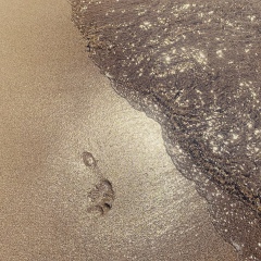 Katrin Chechulina, 26.08.1994, Санкт-Петербург