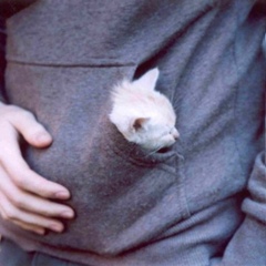 Гани Уакказы, Семей