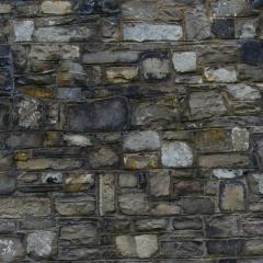 Марина Колесова