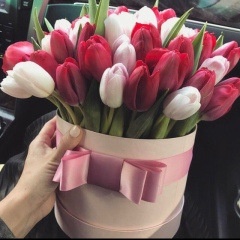 Альма Сосранова