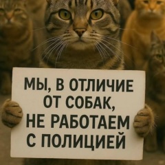 Алексей Алексеев, Курск