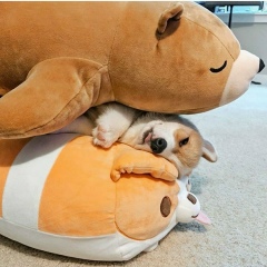 Николай Мольков, 26.02, Нижний Новгород