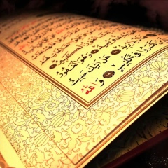 Данияр Асадиллаев, 03.10.1983, Алматы