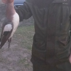 Антон Зайцев, 06.01, Тюмень