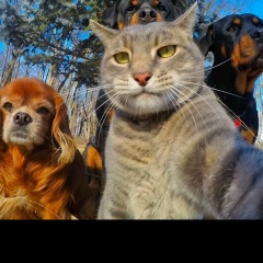 Алексей Музычук