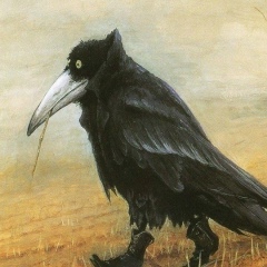 Николай Елманов, 16.05.1988, Подольск