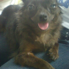 Luisa Hernández, 26.09.1989, Bogotá