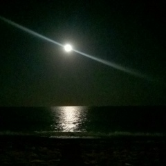 Анна Волчек-Пиляк, 18.08.1990