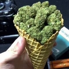 Medni Sugaipova, 28.07.1994