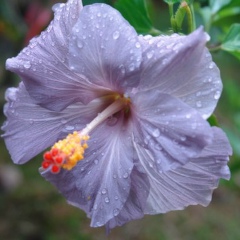 Andrew-San Ponomarev, 04.02.2007, Санкт-Петербург