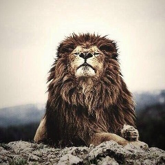 Адам Арабов, 27.08, Москва