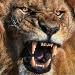 Андрей Байдак, 03.11.1985, Москва