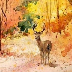 Оля Губарь, Белгород