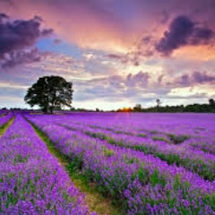 Настя Петуховская, 15.07.1979, Минск