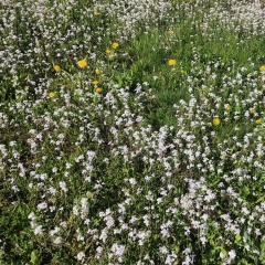 Helen Shalimova, 26.11.1980, Санкт-Петербург