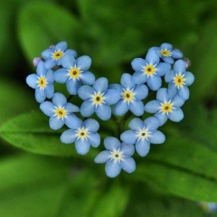Роман Байков, 05.10.1976, Санкт-Петербург