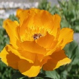 Людмила Измайлова, Тараз