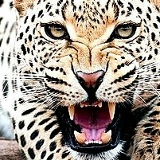 Лела Белкина, 28.08, Санкт-Петербург