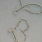 Тоня Маленкова, 28.02, Волгоград