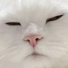 Аминат Алиева, 20.03.1995