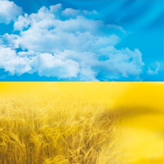 Владимир Чередниченко, 29.06.1988, Киев