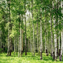 Светлана Чеботарёва, 22.05.1962, Актау