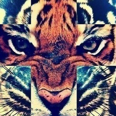 Легпоходилвстал Всталпоходиллег, 08.12, Ульяновск