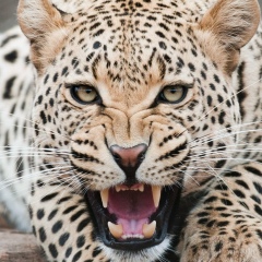 Елена Дудник, 07.05.1990, Алматы