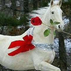 Мадина Байназарова