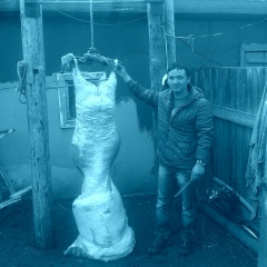 Стас Токтобаев, 22.01.1992, Омск