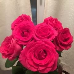 Юлия Кайденко, 23.02, Холмск