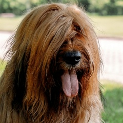 Анна Дюльдинаа, 12.06, Москва