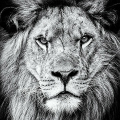 Юрий Качалин, 22.08.1989, Ростов-на-Дону