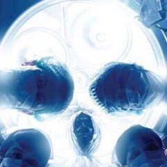 Артур Дулатов, 24.12, Санкт-Петербург