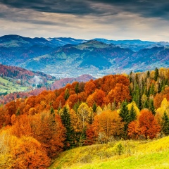 Иван Чекученко, 30.04.1989, Ирбит