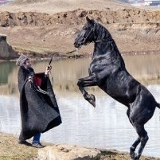 Sergey Montana, 24.06