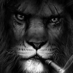 Lion Muzon-Zapchasti, München
