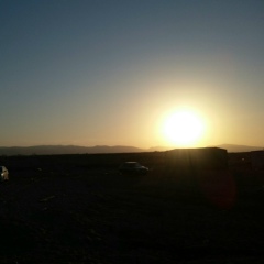 Сардар Хаваев, 20.02.1990, Санкт-Петербург