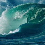 Альберт Саутиев, 28.02, Малгобек