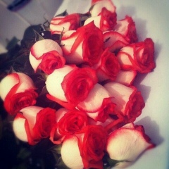 Турганай Кулманбетова, Алматы