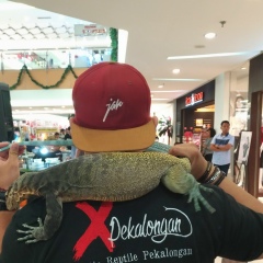 Boy Argadia, 02.09, Pekalongan